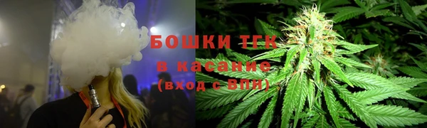 прущие грибы Янаул