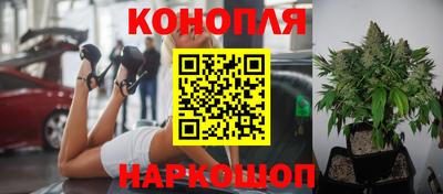mix Кингисепп