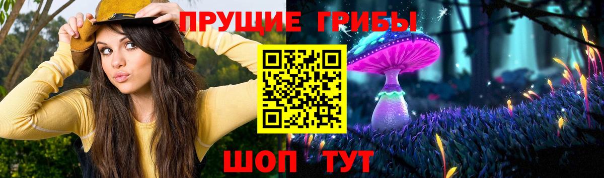 Галлюциногенные грибы Cubensis  Галлюциногенные грибы ЛСД  Вход с VPN  Нурлат 